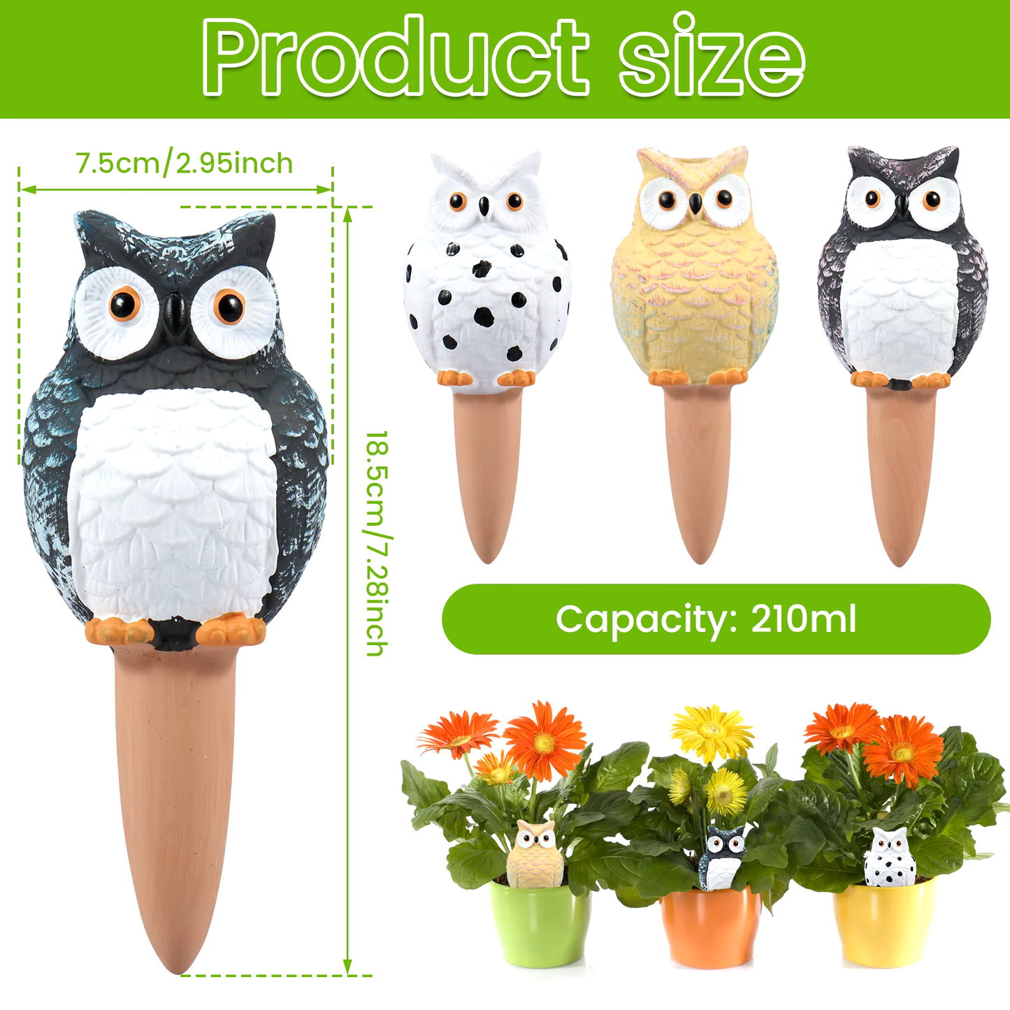 The Owls (4pc)